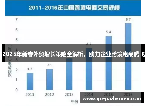 2025年新春外贸增长策略全解析，助力企业跨境电商腾飞