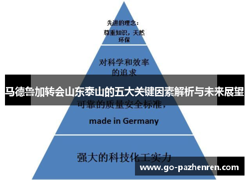 马德鲁加转会山东泰山的五大关键因素解析与未来展望