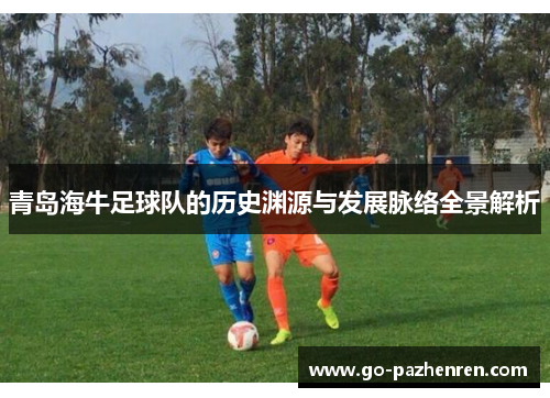 青岛海牛足球队的历史渊源与发展脉络全景解析
