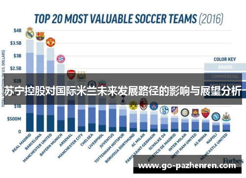 苏宁控股对国际米兰未来发展路径的影响与展望分析