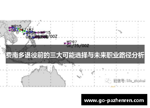 费南多退役前的三大可能选择与未来职业路径分析 费南多退役前的三大可能选择与未来职业路径分析