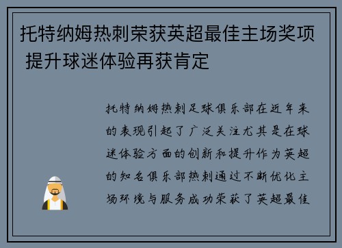 托特纳姆热刺荣获英超最佳主场奖项 提升球迷体验再获肯定